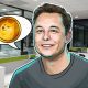 Dogecoin endorsed by Elon Musk