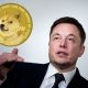 Musk keeps dogecoin