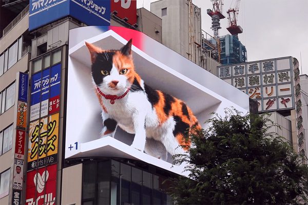 A new giant kitten on a billboard in Japan.