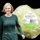 liz truss lettuce