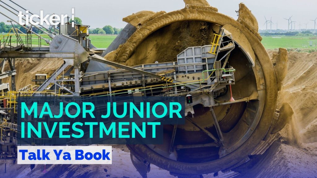 Experts weigh in on the undervalued junior resources sector