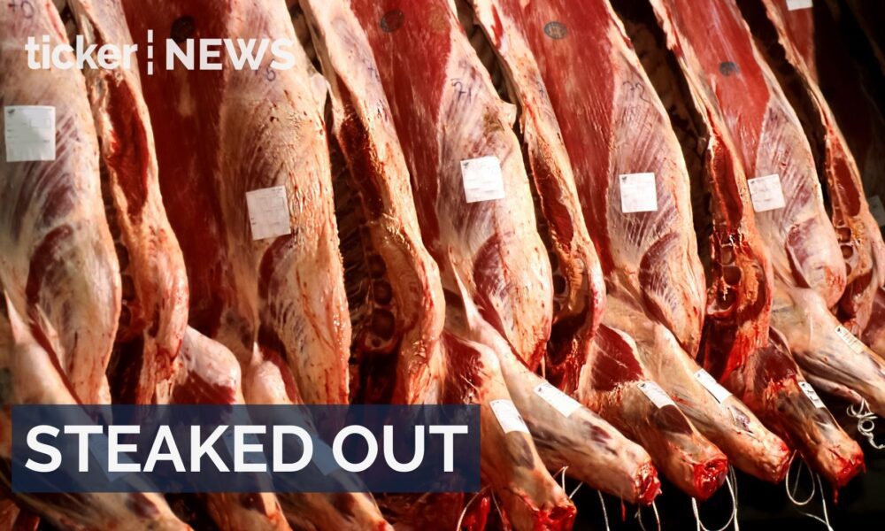 Australian beef industry warns of major export losses under new China tariff