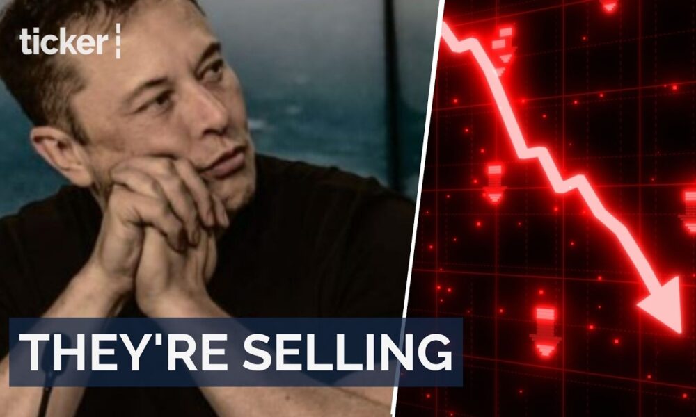 “Bag Holders”: Why SpaceX investors may have to wait longer for profits