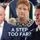‘Picking on the dead is uncool’: One Nation’s risky strategy
