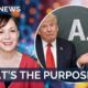 Trump’s AI force raises one big question: What is it actually for?